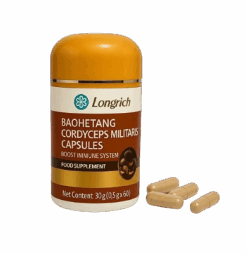 CORDYCEPS MILITARIS (60 Capsules)
