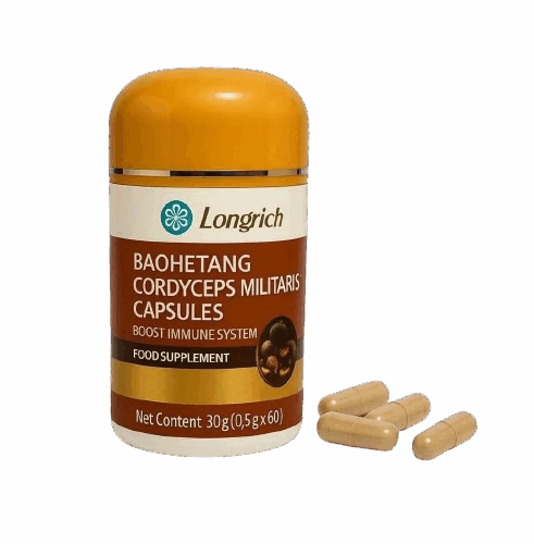 CORDYCEPS MILITARIS (60 Capsules)