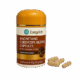 CORDYCEPS MILITARIS (60 Capsules)