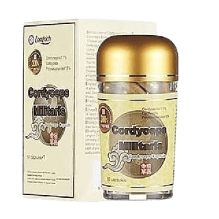 CORDYCEPS MILITARIS (60 Capsules)